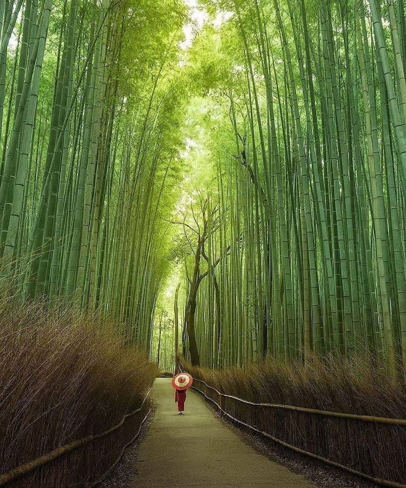 Arashiyama