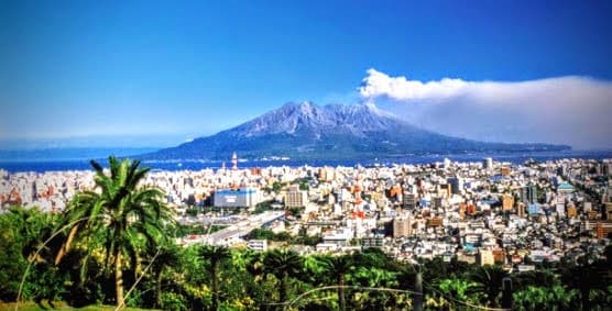 Kagoshima Fish Market